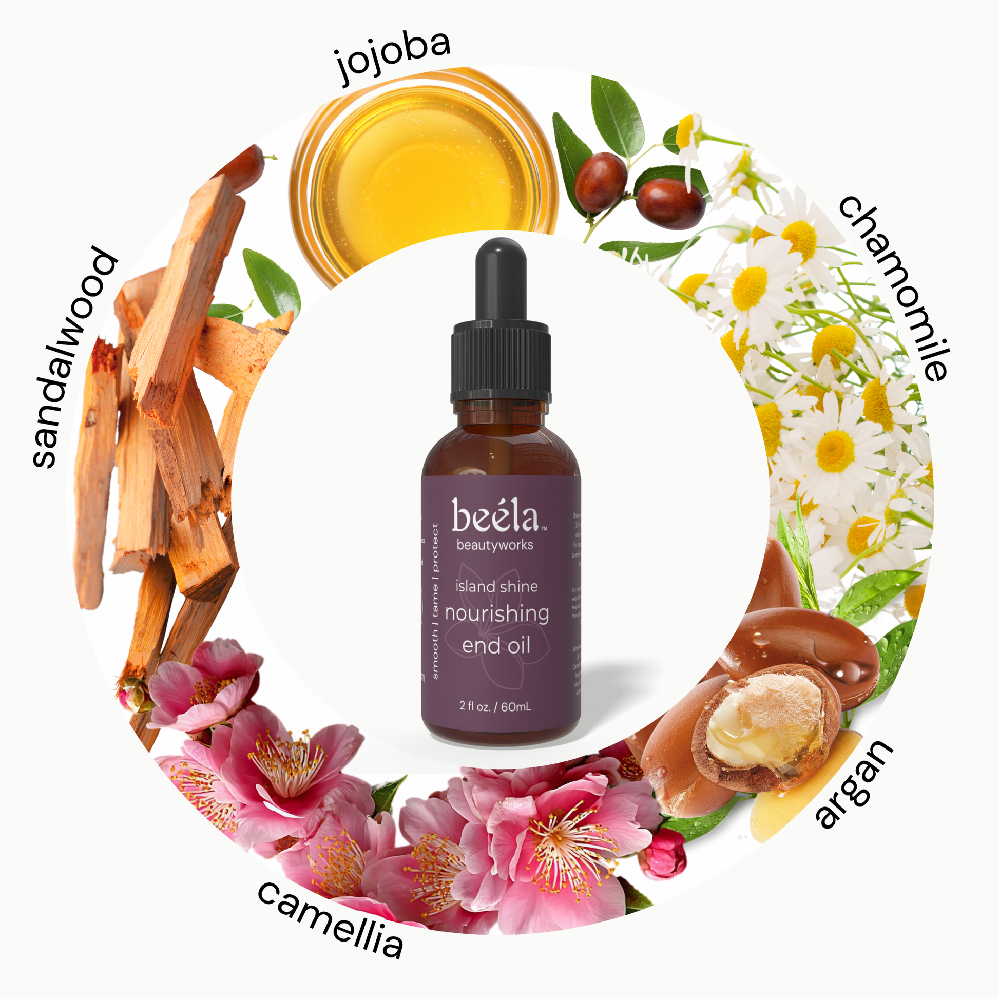 Beela Island Shine Nourishing End Oil bottle surrounded by key ingredients — jojoba, chamomile, camellia, argan, and sandalwood for smooth, shiny hair.